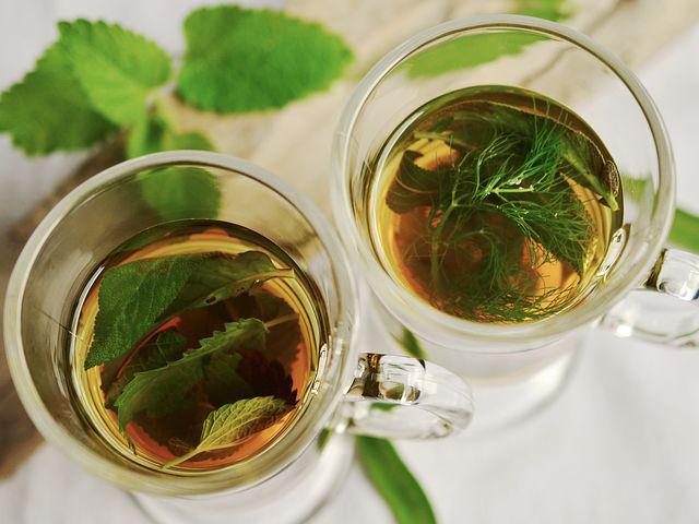 Можно ли пить зеленый чай каждый день, не вредно ли это